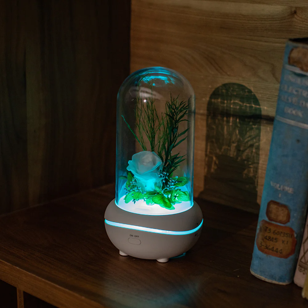 Rose Lamp Scented Oil Diffuser Aromatherapy Christmas LED Lamp Fragrance Oil Diffuser - Image 10