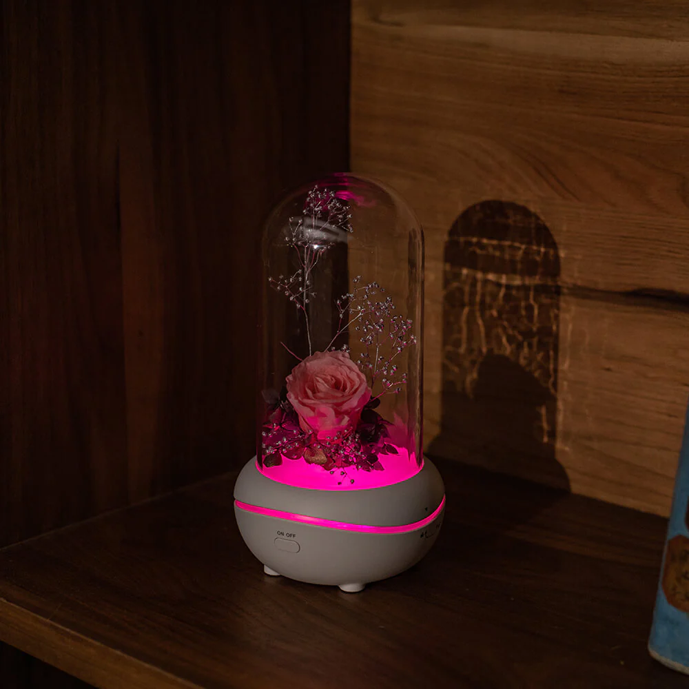 Rose Lamp Scented Oil Diffuser Aromatherapy Christmas LED Lamp Fragrance Oil Diffuser - Image 16