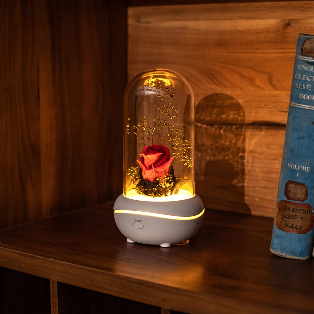 Rose Lamp Scented Oil Diffuser Aromatherapy Christmas LED Lamp Fragrance Oil Diffuser - Image 19