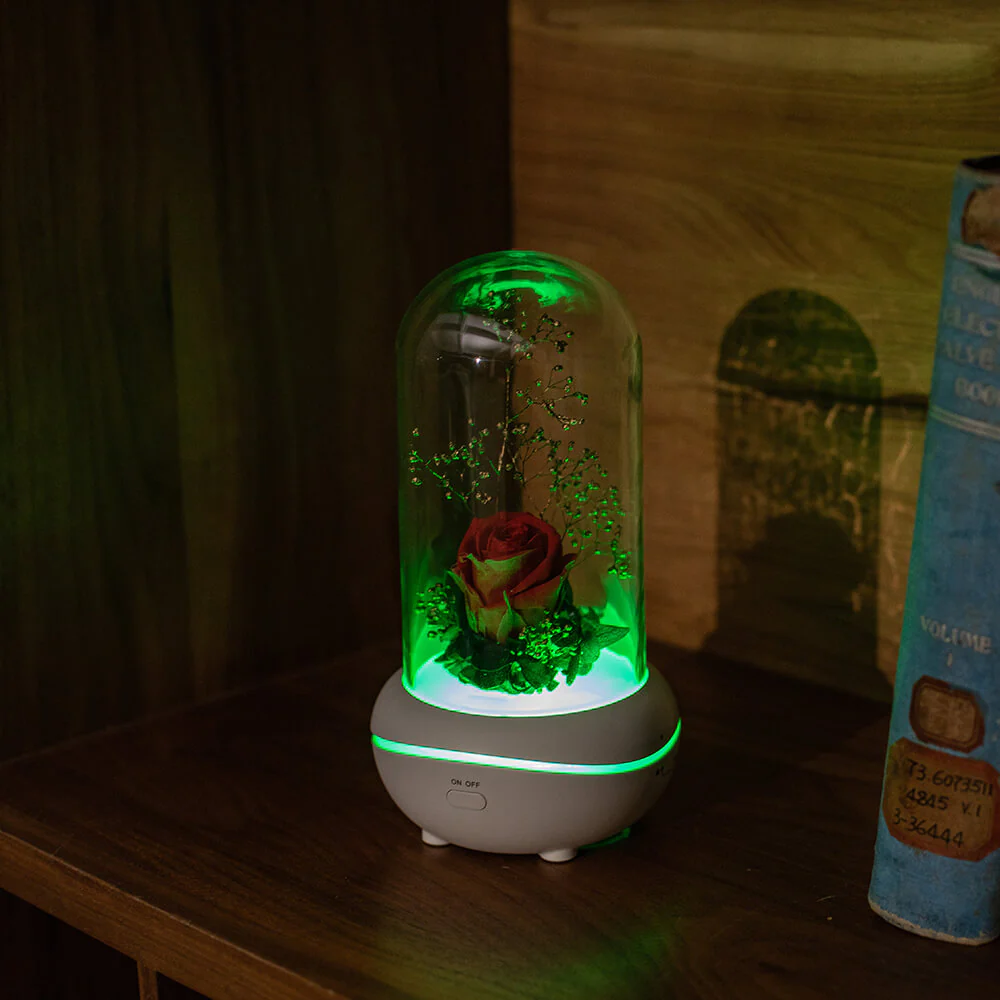 Rose Lamp Scented Oil Diffuser Aromatherapy Christmas LED Lamp Fragrance Oil Diffuser - Image 21