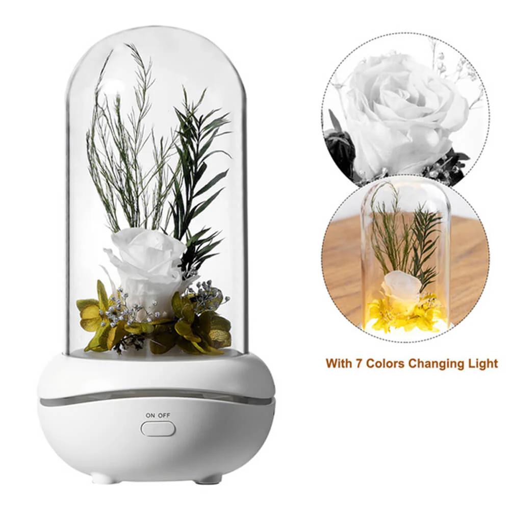 Rose Lamp Scented Oil Diffuser Aromatherapy Christmas LED Lamp Fragrance Oil Diffuser - Image 4